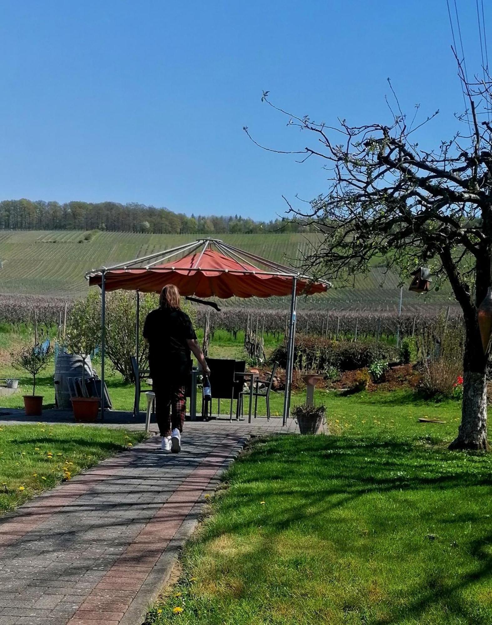 Weingut Tiliahof Bed & Breakfast Brauneberg Exterior foto