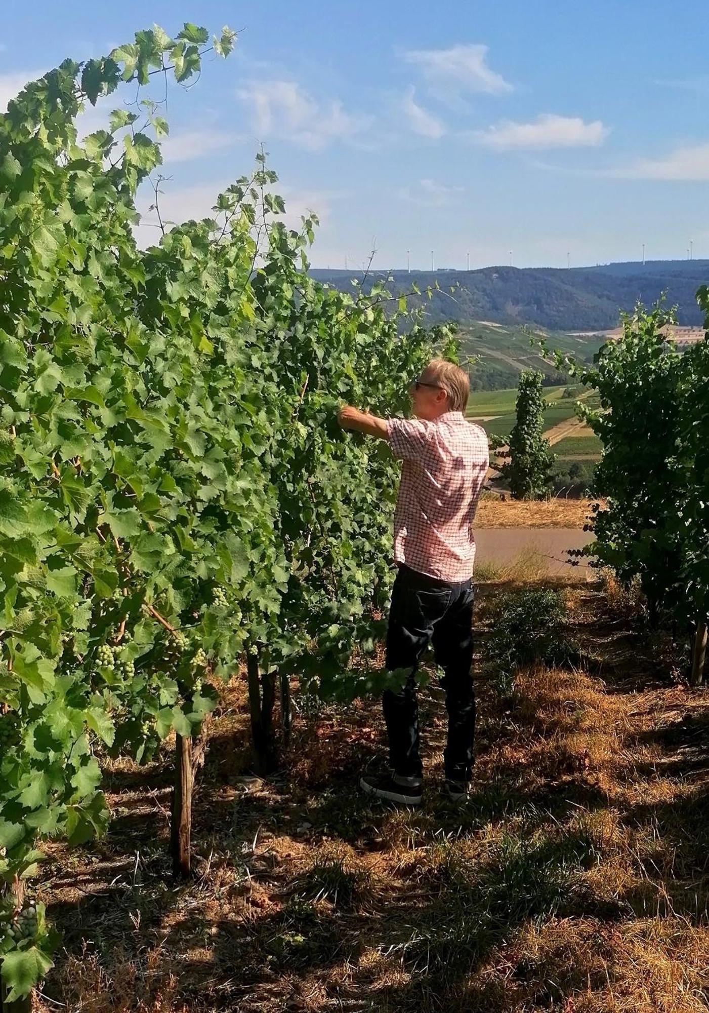 Weingut Tiliahof Bed & Breakfast Brauneberg Exterior foto
