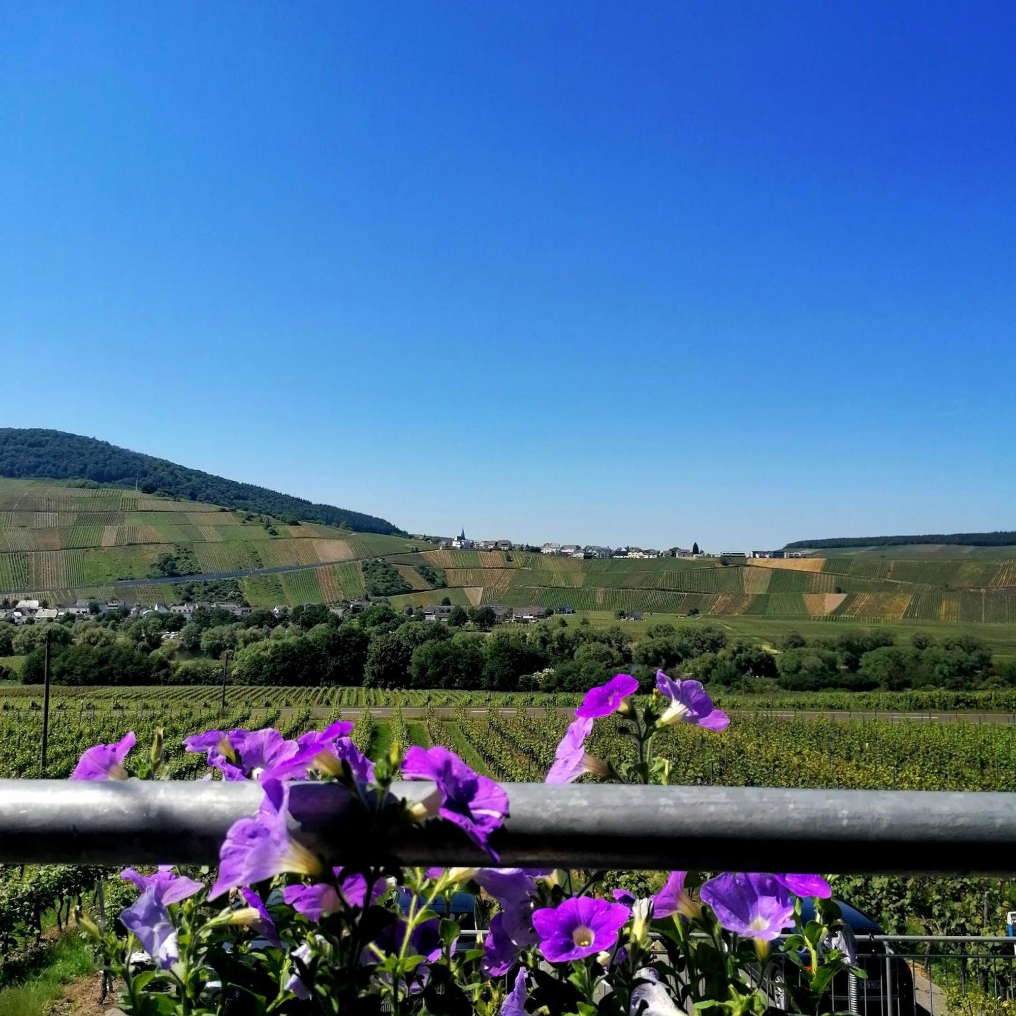 Weingut Tiliahof Bed & Breakfast Brauneberg Exterior foto